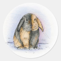 LOP AUTOCOLLANTS RONDS