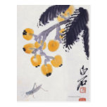 Loquats et une sauterelle cartes postales
