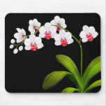 L'orchidée blanche de Phalaenopsis fleurit Mousepa Tapis De Souris