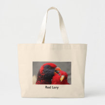 Lory rouge sac