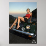 Lotti B se reposant sur l'affiche de voiture