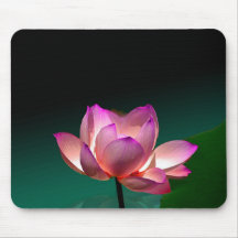 Lotus magenta en pleine floraison, mousepad tapis de souris