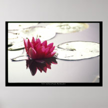 lotus posters