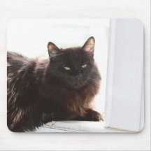Louie Tapis De Souris