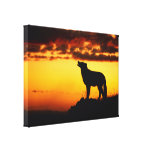 Loup à la copie de toile de crépuscule impressions sur toile