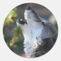 loup adhésif rond