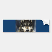Loup Adhésifs Pour Voiture