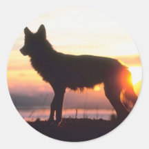 Loup au coucher du soleil adhésif