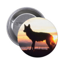 Loup au coucher du soleil badge avec épingle