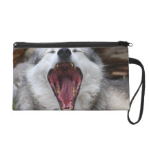 loup baîllant dragonnes
