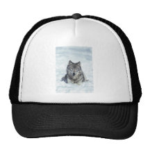 Loup Casquettes