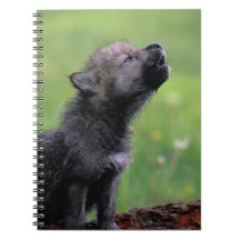 Loup CUB hurlant Carnet