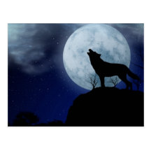Loup de pleine lune carte postale