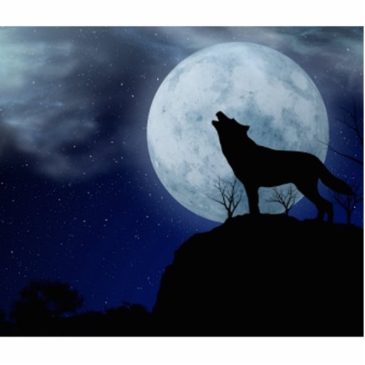 loup de pleine lune photo sculptures