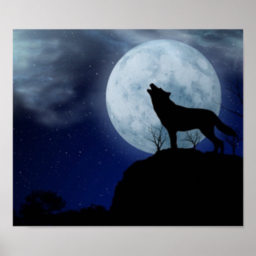 loup de pleine lune posters
