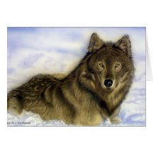 Loup d'hiver cartes de vœux
