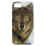 Loup d'hiver coque iPhone 5 Case-Mate