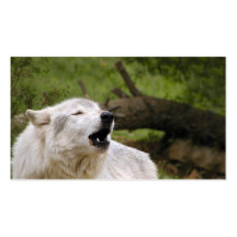 Loup gris 2 d'hurlement cartes de visite professionnelles