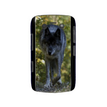 Loup gris dans le cas de Blackberry de photo de fa Étui Blackberry Bold