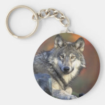 loup gris de timberwolf porte-clé