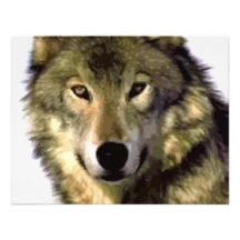 Loup gris faire-parts