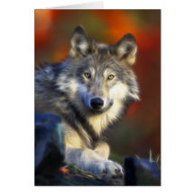 Loup gris, photo numérique d'espèce menacée cartes de vœux