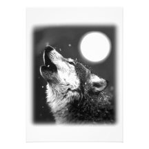 Loup hurlant à l'invitation de lune