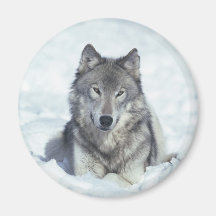 Loup Magnets