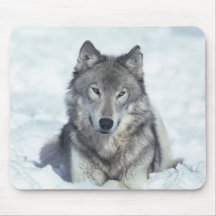 Loup Tapis De Souris