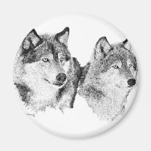 Loups solitaires aimant