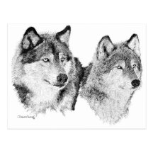 Loups solitaires cartes postales