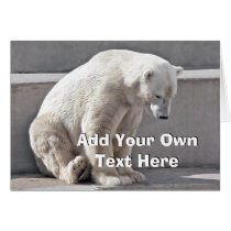 L'ours blanc ajoutent votre propre texte cartes