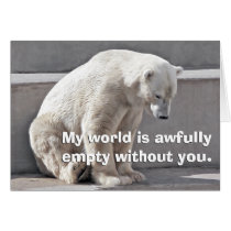 L'ours blanc est absent vous cartes