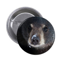 L'ours embrasse n'importe qui ? badges avec agrafe