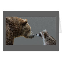 L'ours grisonnant rencontre le raton laveur cartes de vœux