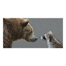 L'ours grisonnant rencontre le raton laveur cartes de vœux avec photo