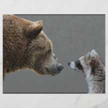 L'ours grisonnant rencontre le raton laveur prospectus