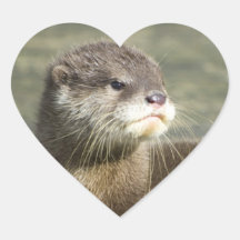 Loutre mignonne de bébé autocollant en cœur
