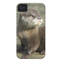 Loutre mignonne de bébé étuis iPhone 4
