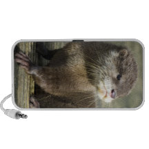 Loutre mignonne de bébé haut-parleurs portables