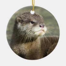 Loutre mignonne de bébé ornements de noël