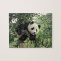 L'petit animal de panda géant grimpe à un arbre, v puzzles