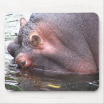 Lu Tapis De Souris