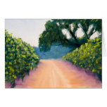 Lumière de matin dans les vignobles carte