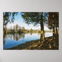 Lumière de matin posters