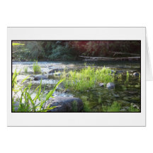 Lumière de matin sur la rivière de Cowichan Cartes De Vœux
