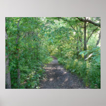 Lumière du soleil de forêt affiches