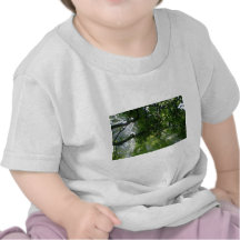 Lumière du soleil par des arbres t-shirt