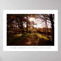 Lumière par les arbres, Ecosse posters