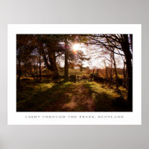 Lumière par les arbres, Ecosse Affiches